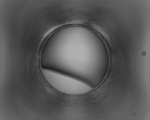 X0000096701316200802051401