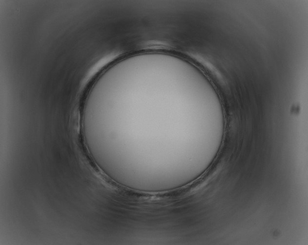 X0000096701317200802051401