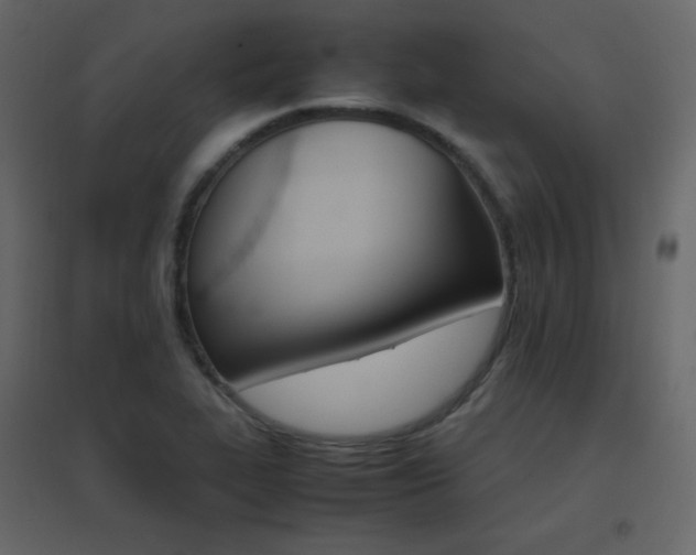 X0000096701319200802051401