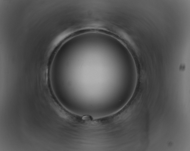 X0000096701320200802051401