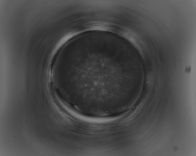 X0000096701323200802051401