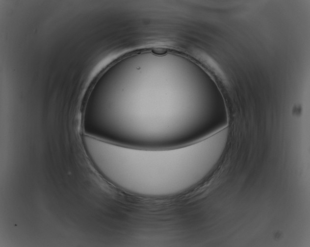 X0000096701324200802051401