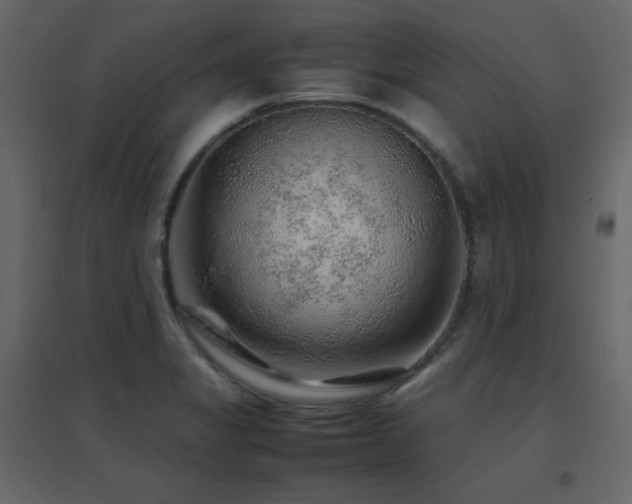 X0000096701325200802051401