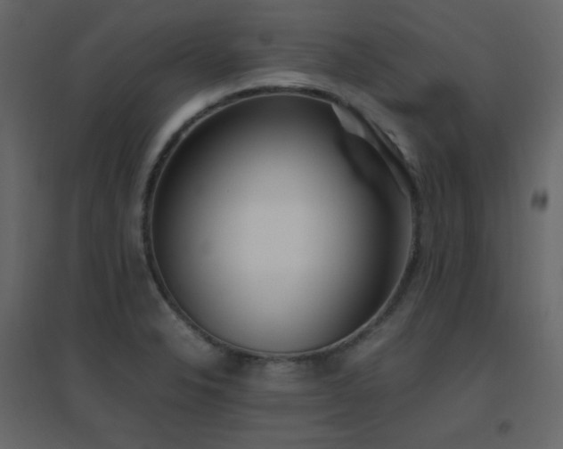 X0000096701326200802051401