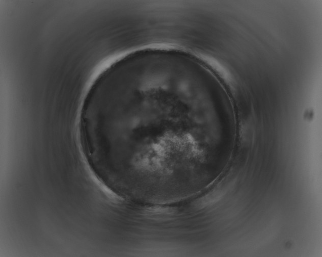 X0000096701327200802051401