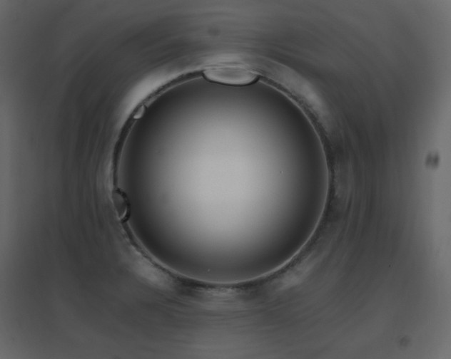 X0000096701328200802051401