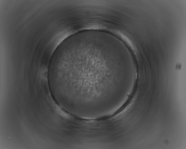 X0000096701329200802051401