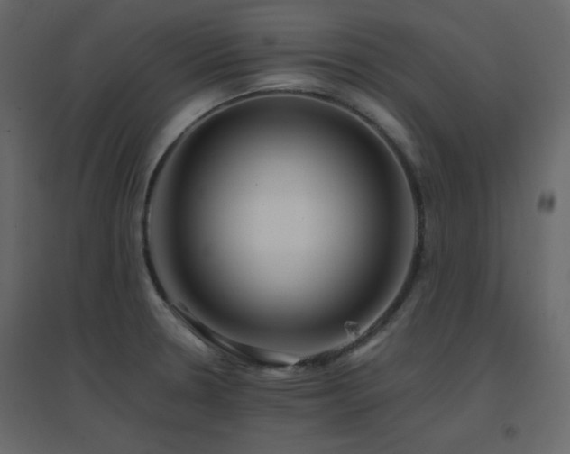 X0000096701330200802051401