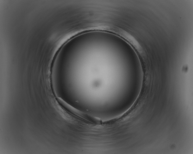 X0000096701332200802051401