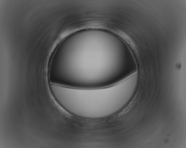 X0000096701334200802051401