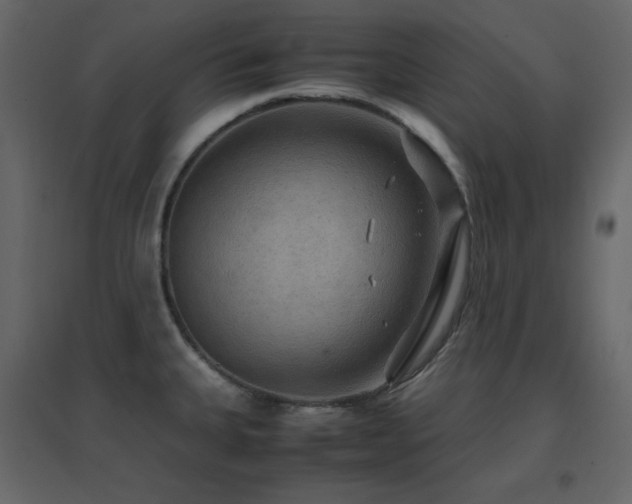 X0000096701335200802051401