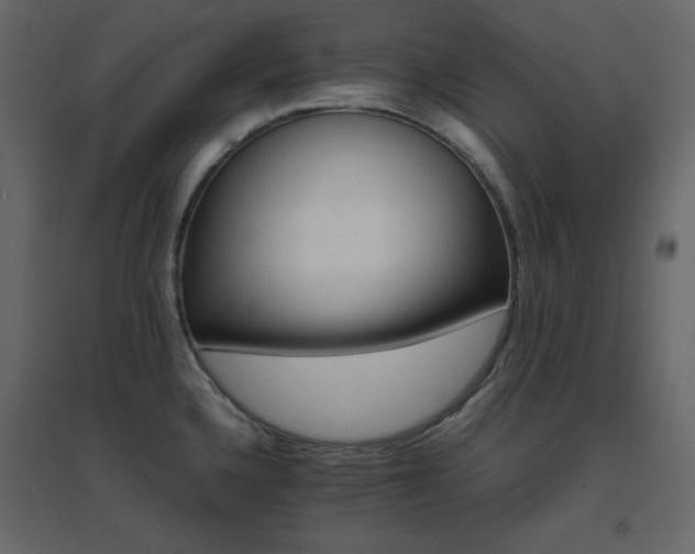 X0000096701336200802051401