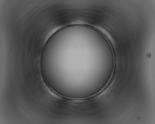 X0000096701337200802051401