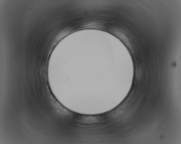 X0000096701338200802051401