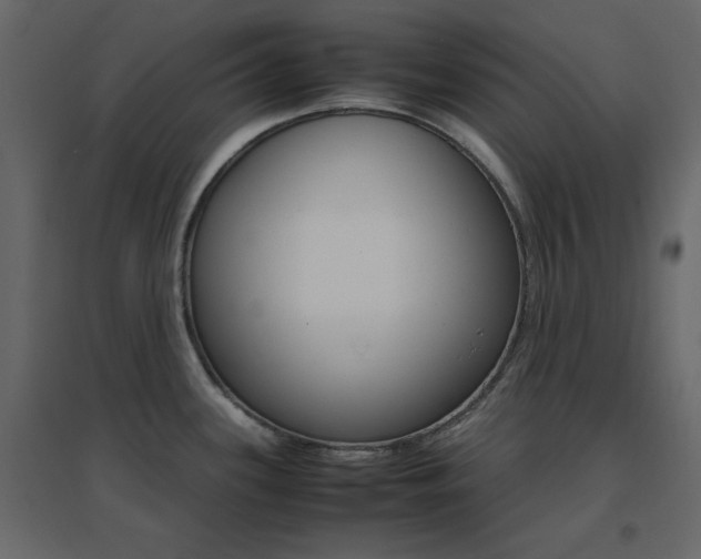 X0000096701339200802051401