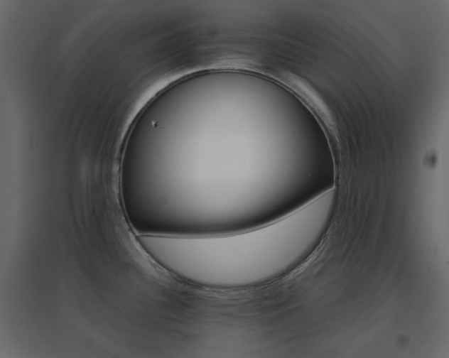 X0000096701340200802051401