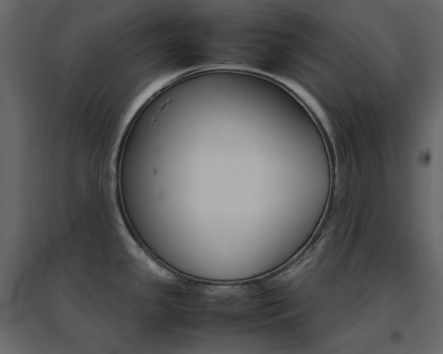 X0000096701341200802051401