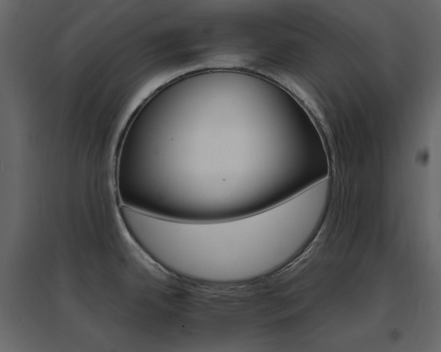 X0000096701342200802051401