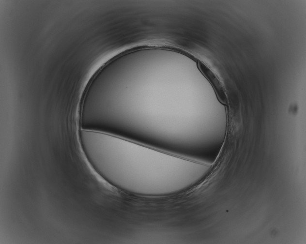 X0000096701343200802051401