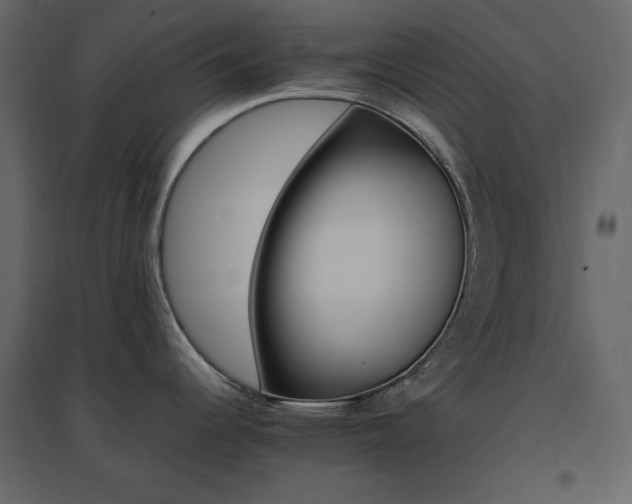 X0000096701344200802051402
