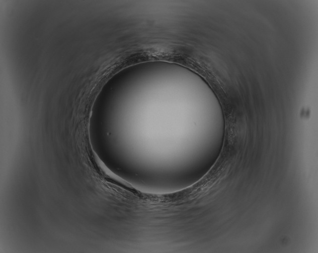 X0000096701345200802051401