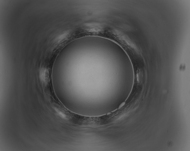 X0000096701347200802051401