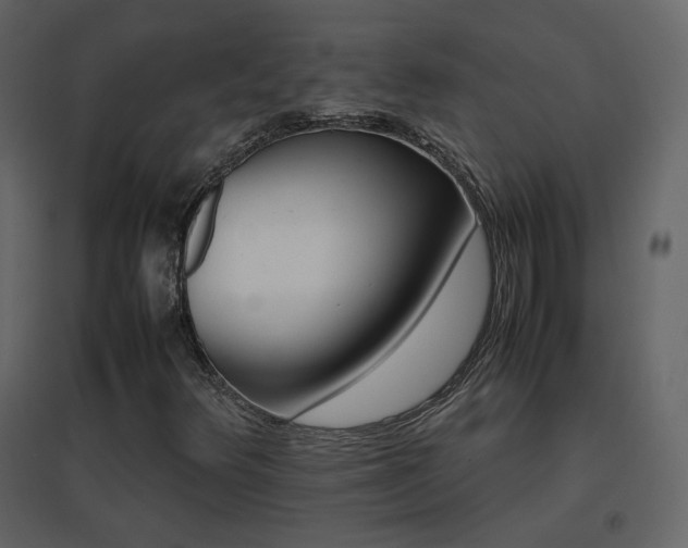 X0000096701348200802051401