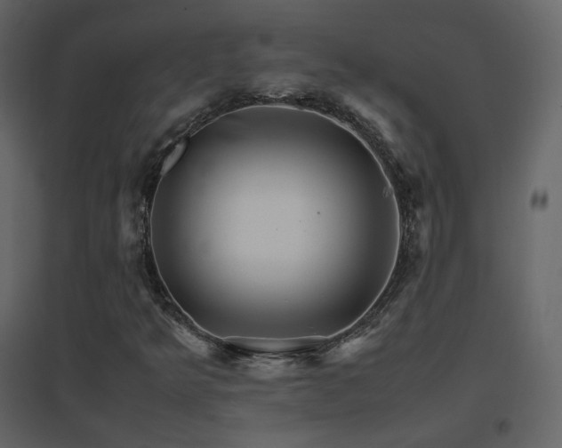 X0000096701349200802051401