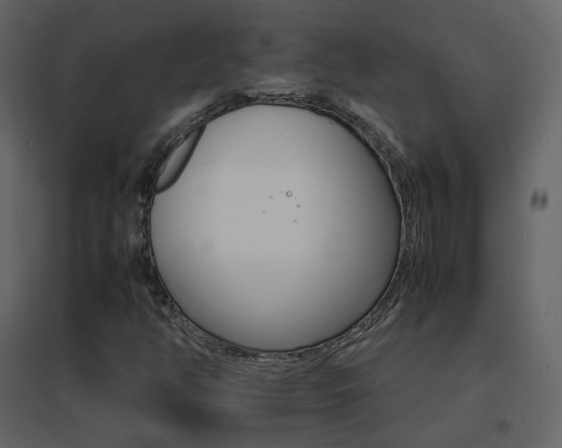 X0000096701350200802051401