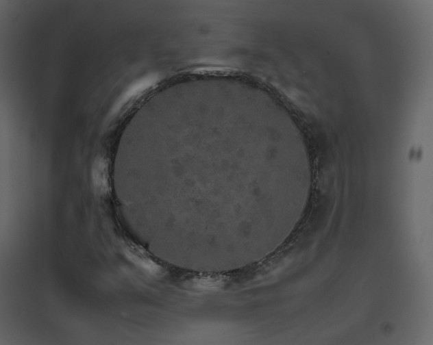 X0000096701351200802051401