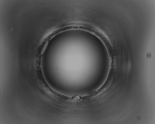 X0000096701352200802051401