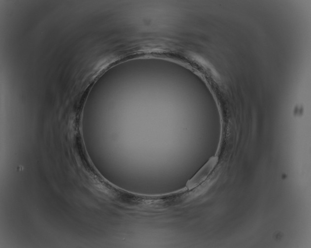 X0000096701353200802051401