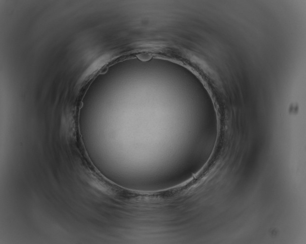 X0000096701354200802051401