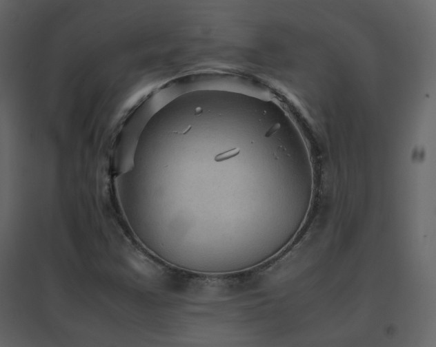 X0000096701355200802051401