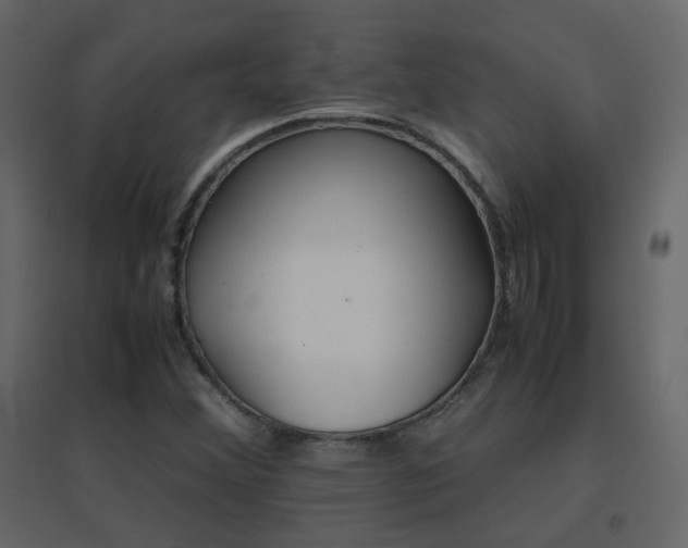 X0000096701356200802051401