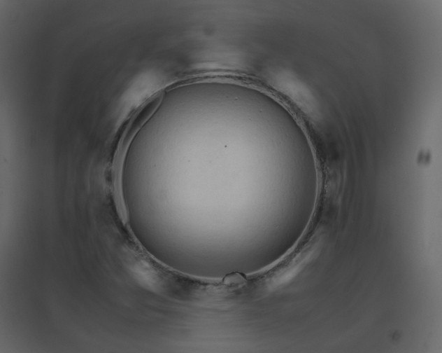 X0000096701357200802051401