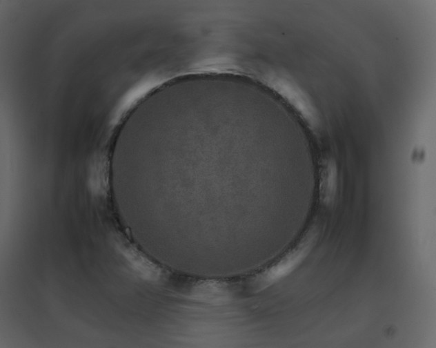 X0000096701358200802051401
