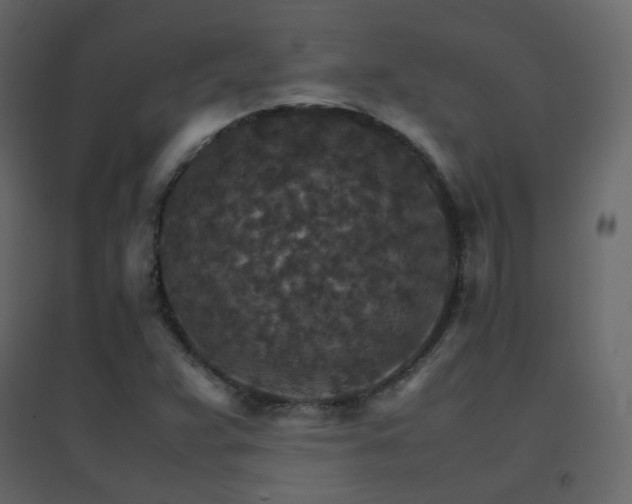 X0000096701359200802051401
