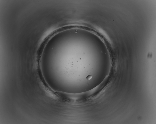 X0000096701360200802051401