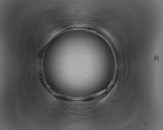 X0000096701361200802051401