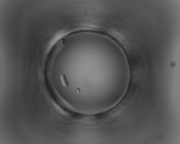 X0000096701363200802051401