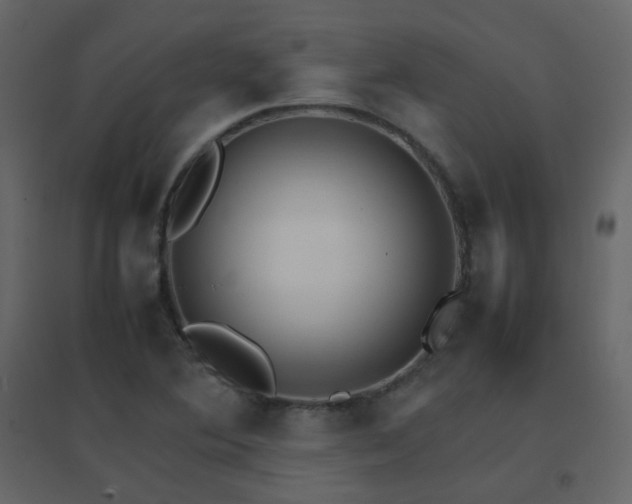 X0000096701364200802051401