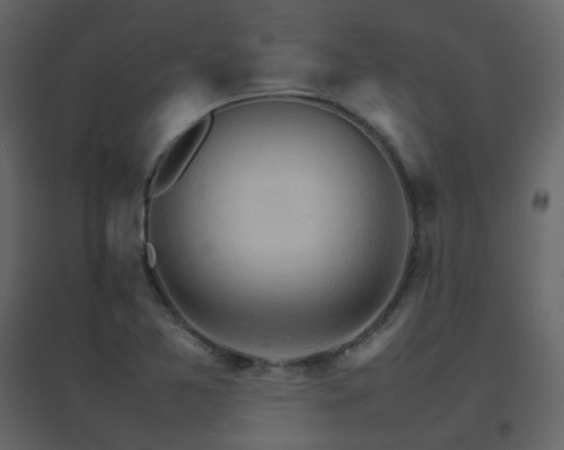 X0000096701365200802051401