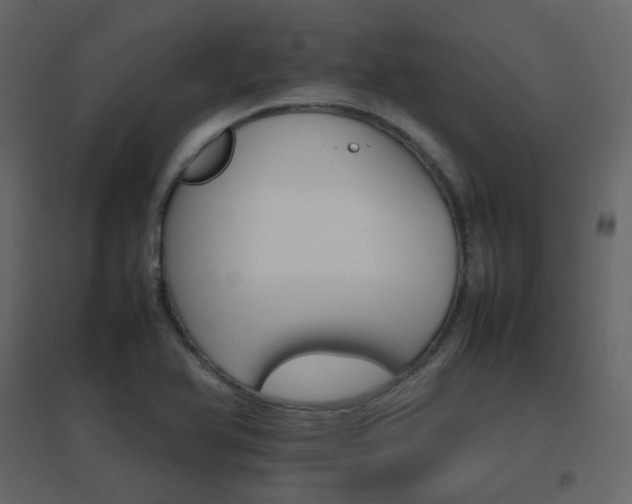 X0000096701366200802051401