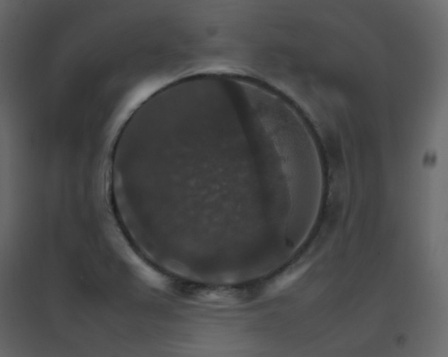 X0000096701367200802051401