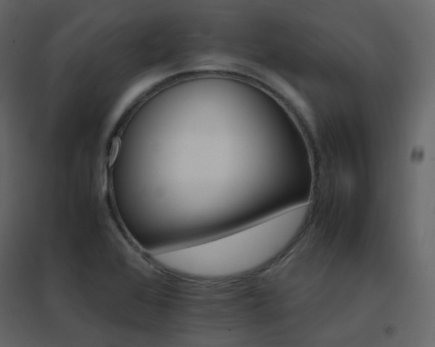 X0000096701368200802051401