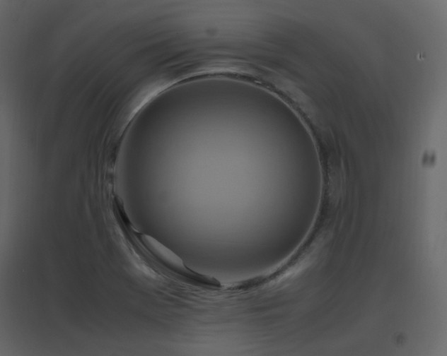 X0000096701369200802051401