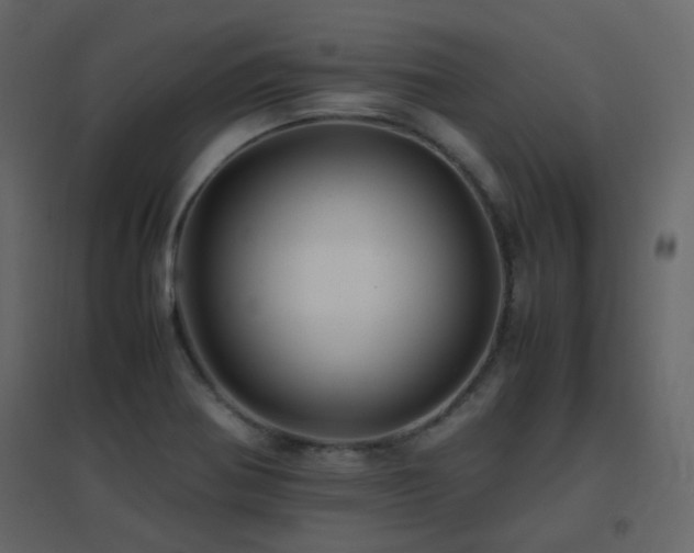 X0000096701370200802051400