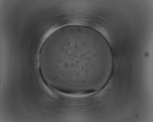 X0000096701371200802051400