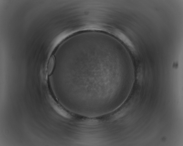 X0000096701372200802051400
